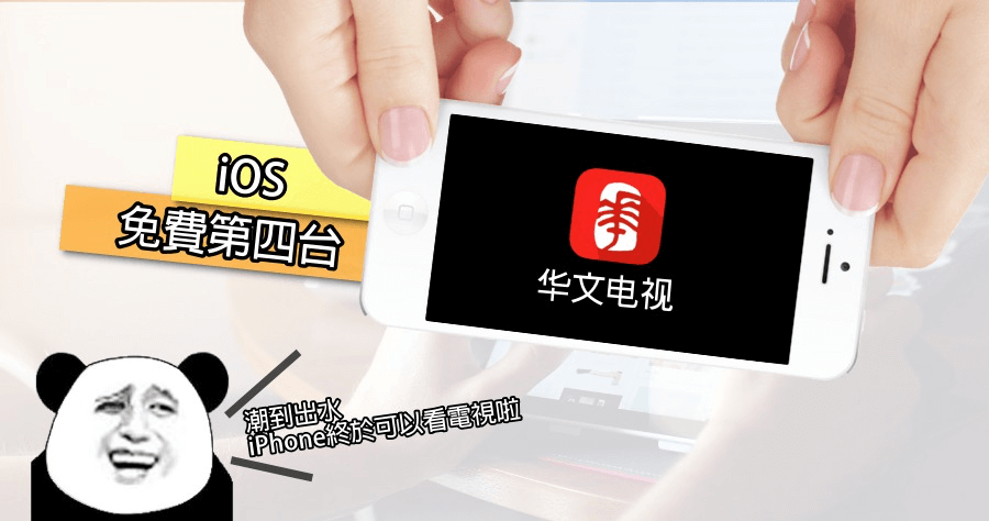 華文電視
