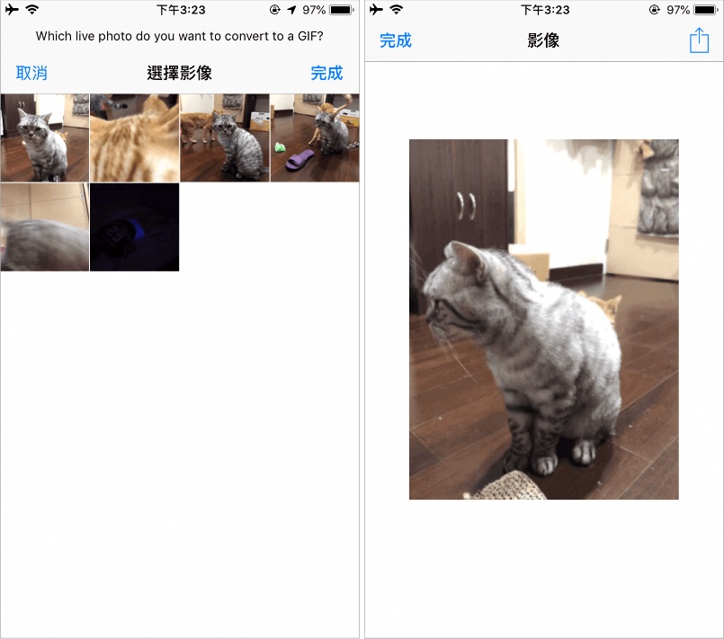 Live Photo 原況照片轉 GIF