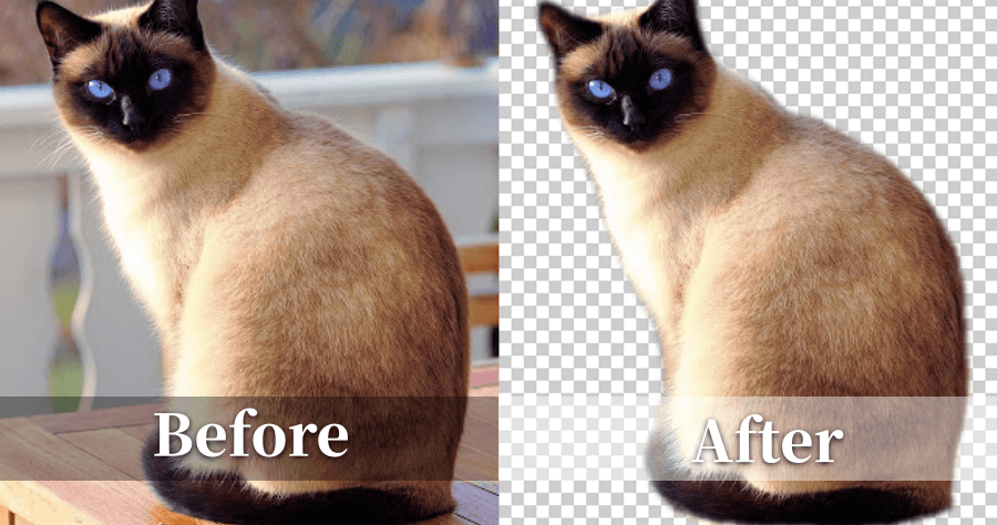 Auto background remover 右鍵一鍵去背，支援 20 種物體識別！