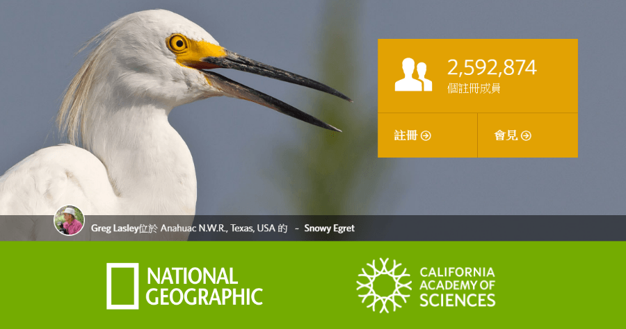 iNaturalist 比形色好用的動植物辨識 App，由國家地理學會、加州科學院共同開發 (iOS/Andorid)