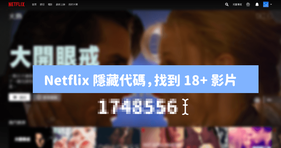 Netflix 隱藏類型目錄