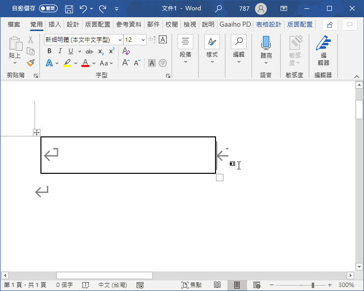 Word 表格範本