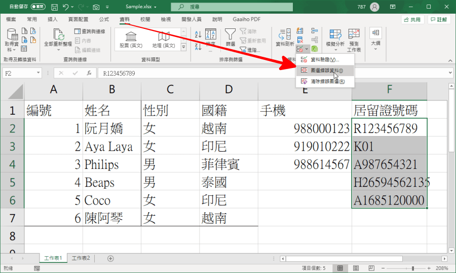 Excel 資料驗證