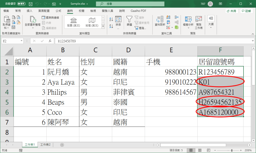 Excel 資料驗證