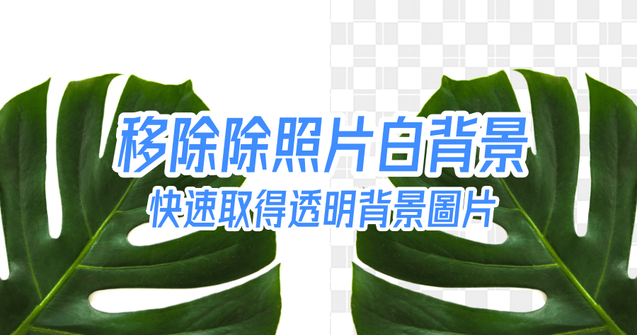 Remove white background 一秒移除照片白色背景，透明背景 PNG 圖片快速取得