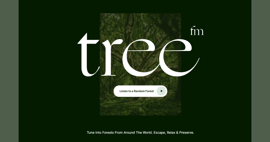 Tree.fm 大自然好聲音線上聽，工作時保持專注與療愈的蟲鳴鳥叫聲