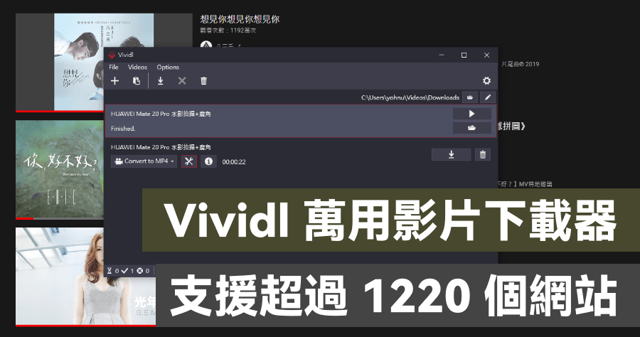 Vividl Video Downloader 萬用影片、音樂下載器，支援 YT / FB / IG 超過 1220 個常用網站