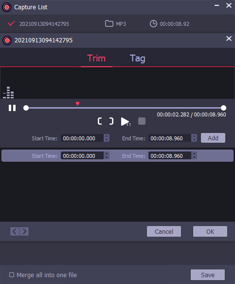 debug version of AudFree Audio Capture