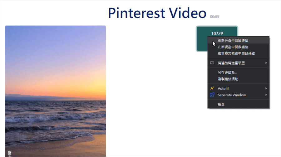 Pinterest視頻下載器
