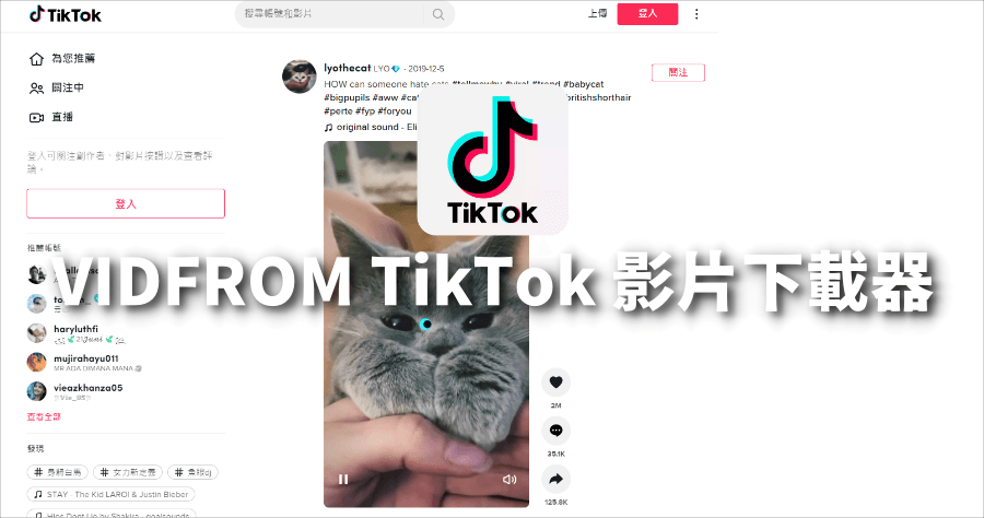 VIDFROM 無浮水印下載 TikTok 影片和音樂，免安裝只需一串網址即可下載