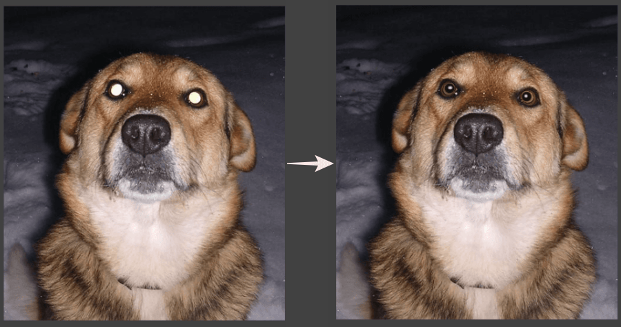 限時免費 Pet Eye Fix Guide 紅眼移除軟體，修復照片反光、紅眼問題