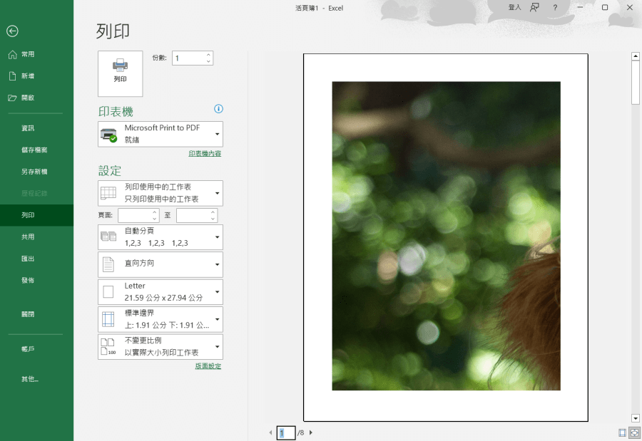 Excel 大圖分割列印